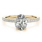 Ivy Oval Hidden Halo Engagement Ring